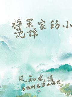 将军家的小娘子 沈锦