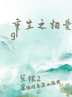重生之相爱相杀gl