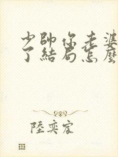 少帅你老婆又跑了结局怎么样