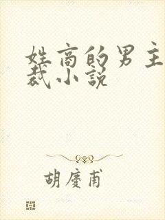 姓商的男主角总裁小说