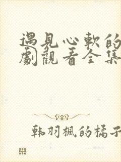 遇见心软的神短剧观看全集