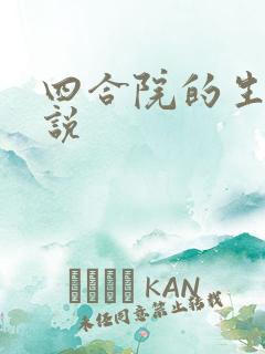 四合院的生活小说