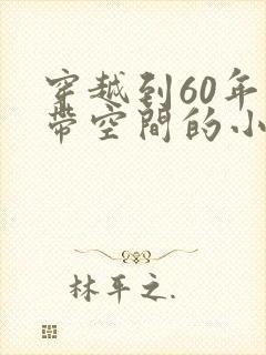 穿越到60年代带空间的小说