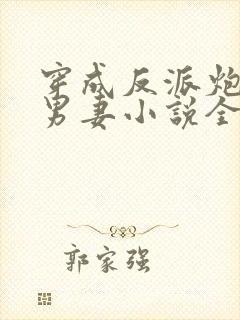 穿成反派炮灰的男妻小说全文阅读