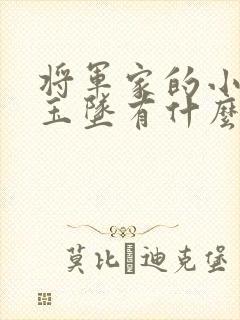 将军家的小娘子玉坠有什么秘密