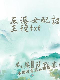 反派女配认错男主后txt