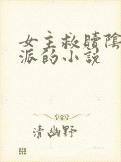 女主救赎阴暗反派的小说