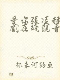 爱你张凌赫电视剧在线观看第9集免费