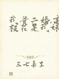 我爸二婚,高冷校花是我妹完结版