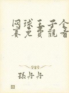 网球王子全国大赛免费观看