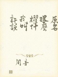 许我耀眼原著小说叫什么名字