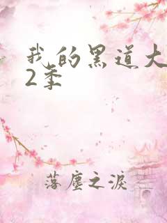 我的黑道大佬第2季