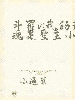 斗罗v:我的武魂是圣主小说