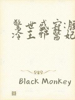 惊世盛宠:腹黑冷王邪医妃