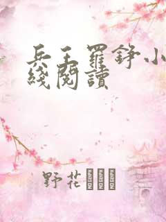 兵王罗铮小说在线阅读