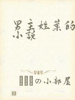 男主姓叶的现代小说