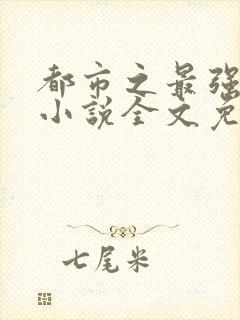 都市之最强狂兵小说全文免费阅读正版