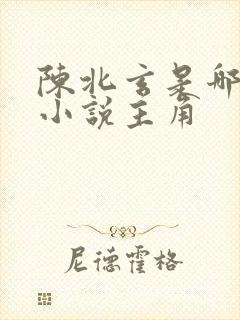 陈北玄是哪一部小说主角
