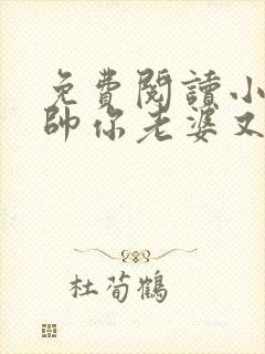 免费阅读小说少帅你老婆又跑了全文