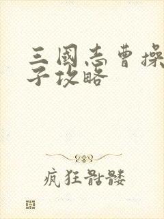 三国志曹操传果子攻略