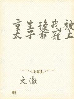 重生后我被京圈太子爷宠上天短剧全集