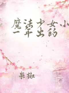 魔法少女小圆哪一年出的