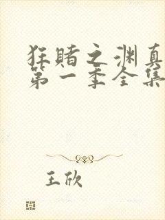 狂赌之渊真人版第一季全集免费观看