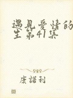 遇见爱情的利先生第41集