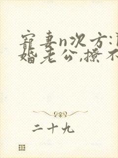 宠妻n次方:闪婚老公,撩不动