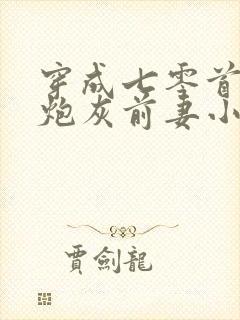 穿成七零首富的炮灰前妻小说