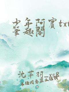 少年阿宾txt笔趣阁