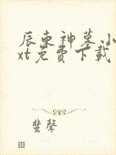 辰东神墓小说txt免费下载