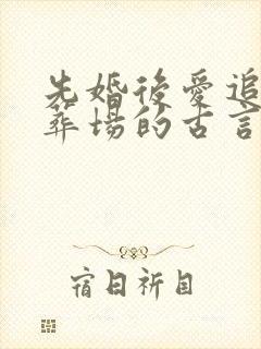 先婚后爱追妻火葬场的古言