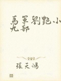 马军刘艳小说第九部