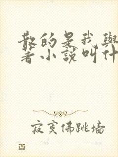 散的是我与爱原著小说叫什么名字