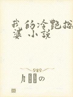 我的冷艳总裁老婆 小说