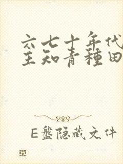 六七十年代双男主知青种田文