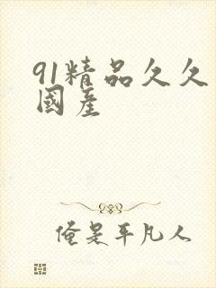 91精品久久久国产