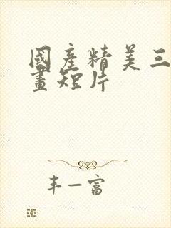 国产精美三维动画短片