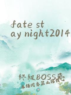 fate stay night2014版在线观看