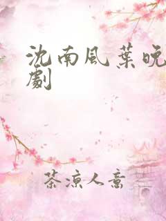 沈南风叶晚意短剧