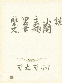 双男主小说高干文笔趣阁