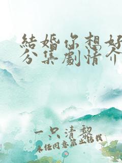 结婚你想好了吗分集剧情介绍