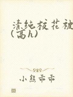 清纯校花被调教(高h)