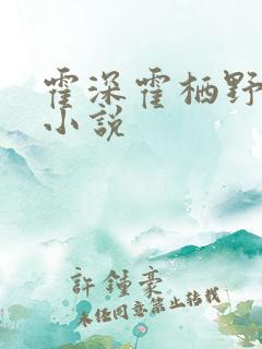 霍深霍栖野夏稚小说