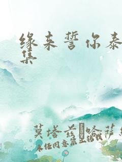 缘来誓你泰剧全集