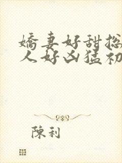 娇妻好甜总裁大人好凶猛初晴