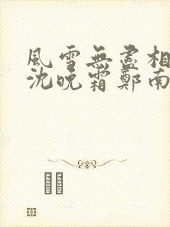 风雪无尽相思情沈晚霜郑南音