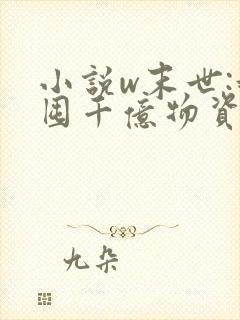 小说w末世:我囤千亿物资坐等天灾》