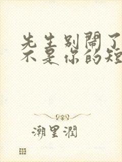 先生别闹了新娘不是你的短剧免费观看大结局